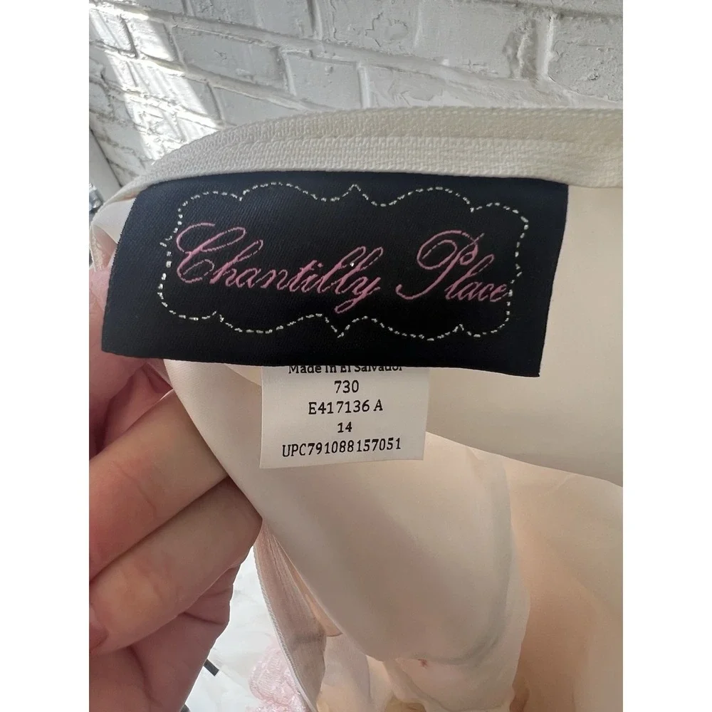 Chantilly Place Girls Size 14 Dress Pink Lace Drop Waist Tulle Formal Pageant